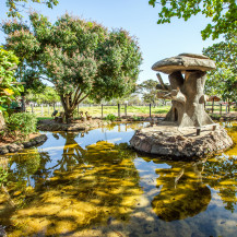 Japanese Garden