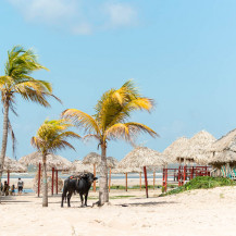 Freshwater beaches in Pará