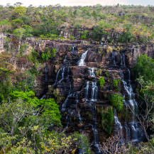 Naturaleza salvaje en el corazón de Brasil